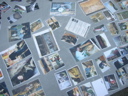 DSCN0920