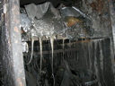 DSCN0974