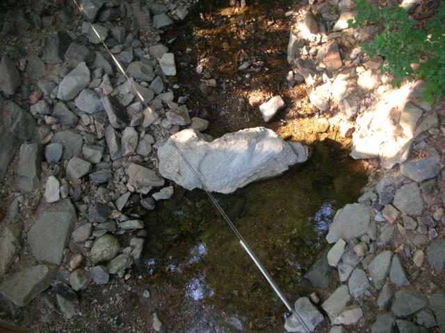 DSCN1455