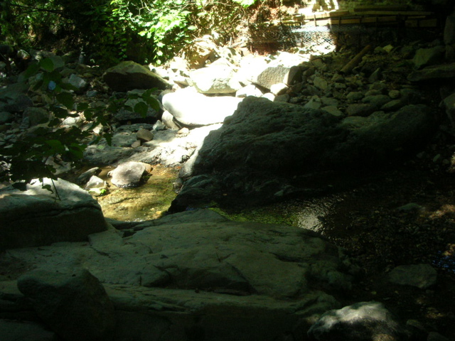 DSCN2243