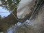 DSCN1226