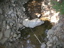 DSCN1455