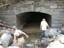 DSCN1827