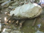 DSCN2264