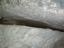 DSCN2276