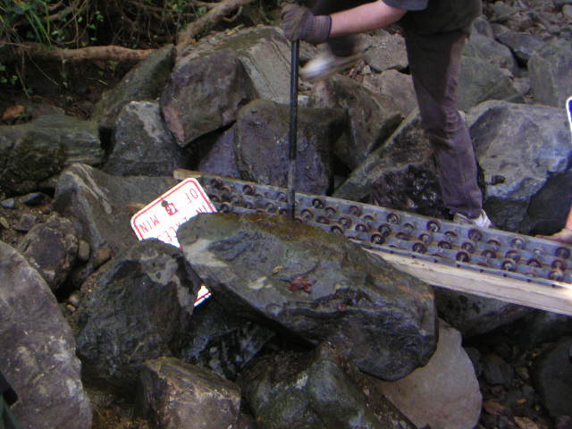 PICT0332