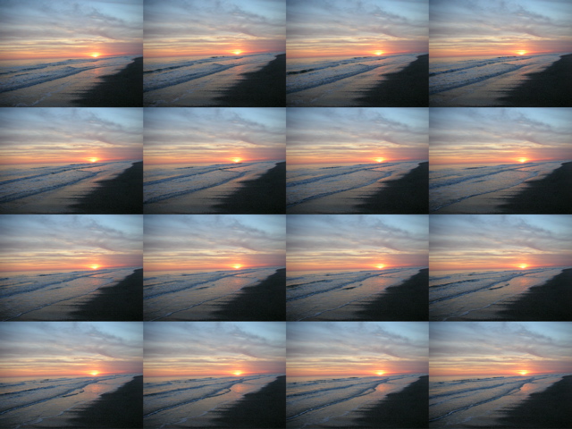 DSCN3383