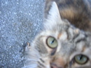 DSCN3274