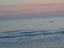 DSCN3296