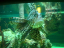 DSCN3425