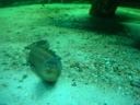 DSCN3429