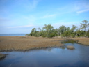 DSCN3431