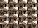 DSCN3460