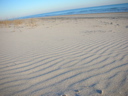 DSCN3282