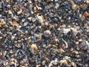 DSCN3287