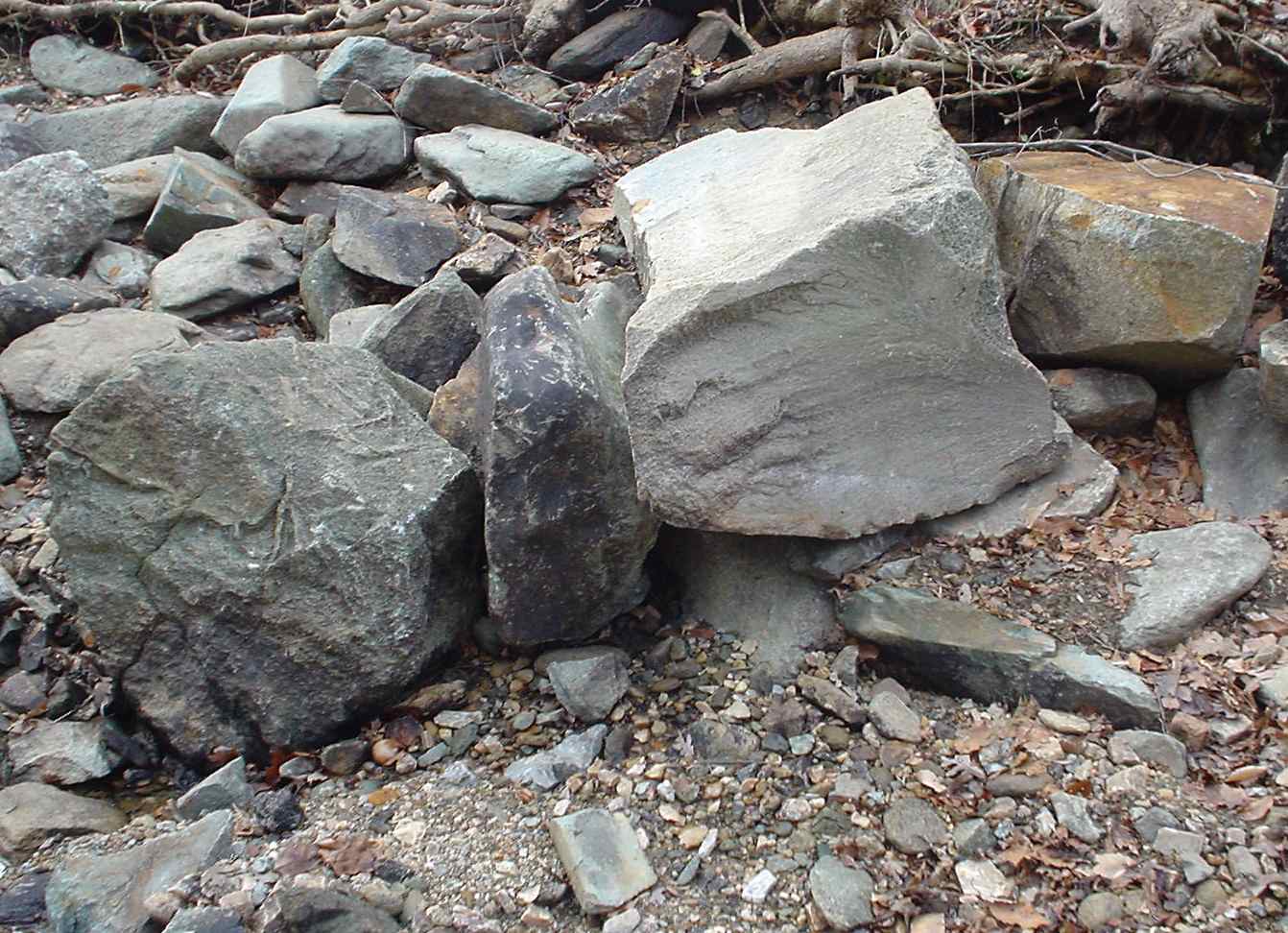 unknown_3.jpg