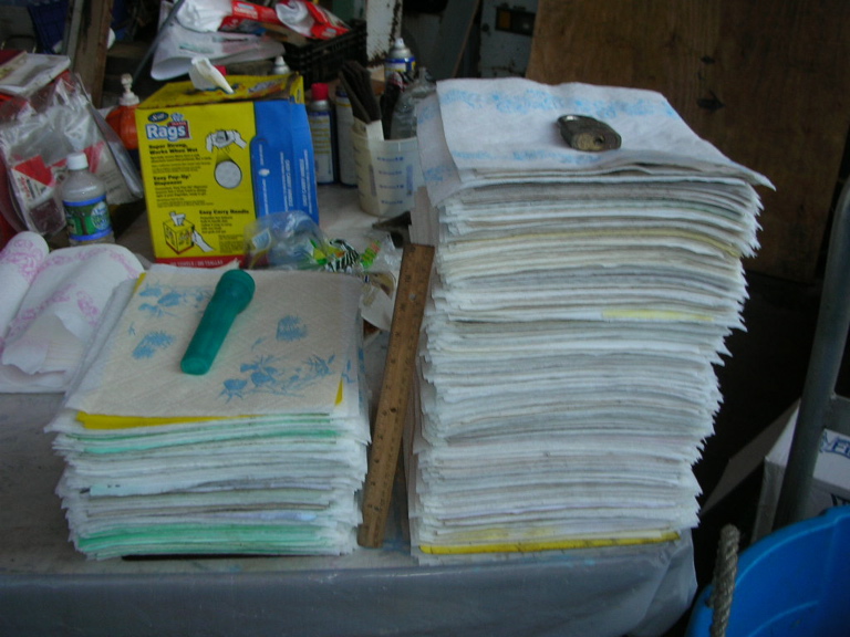 DSCN0954