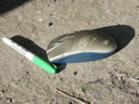 DSCN1106