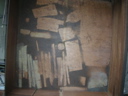 DSCN1123