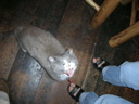 DSCN1739