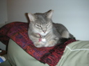 DSCN1763