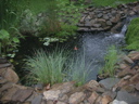 DSCN1729
