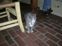 DSCN1721