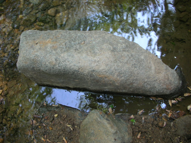 DSCN1204