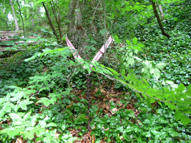 DSCN0807