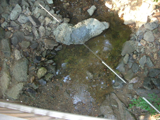 DSCN1459