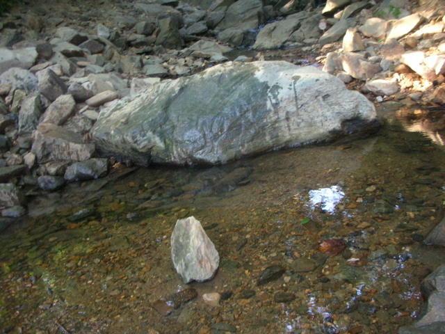 DSCN1461