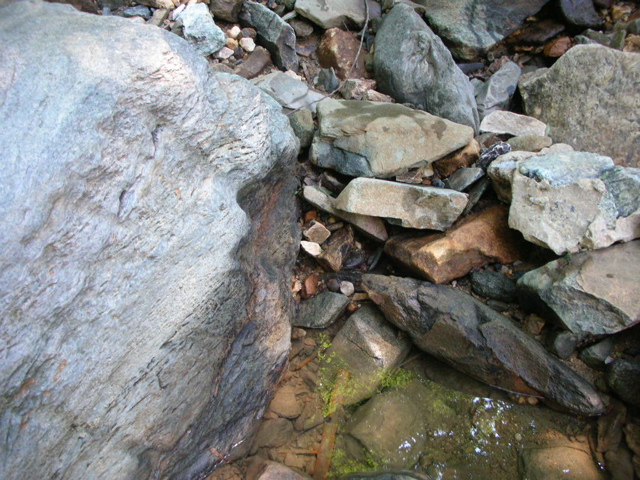DSCN1812