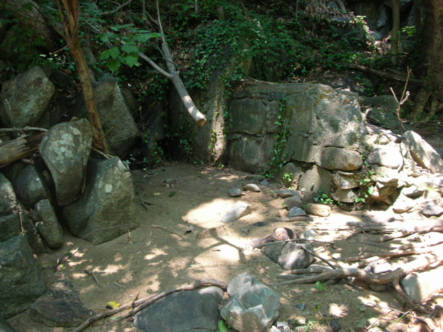DSCN1815