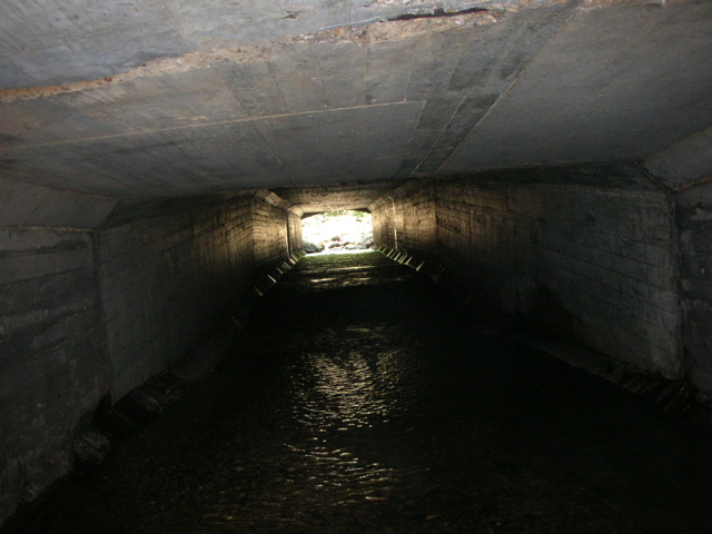 DSCN1831