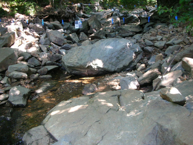 DSCN2186