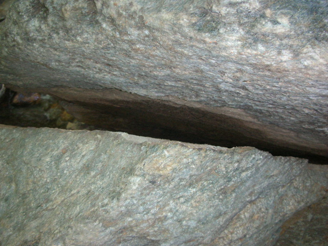 DSCN2276