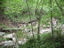 DSCN0806