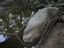 DSCN1222