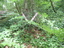 DSCN0807