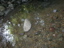 DSCN1460