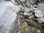 DSCN1812