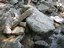 DSCN1813