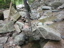DSCN0823