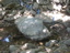 DSCN2241