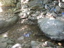 DSCN2242