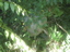 DSCN2253