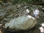 DSCN2263