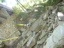 DSCN2265