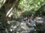 DSCN2271