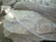 DSCN2275